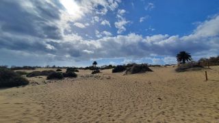 2023-GC--Mapalomas dunas-S123-054.jpg